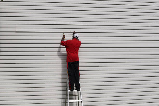 Best Vinyl Siding Installation  in Talpa, NM